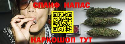 гидропоника Камышлов