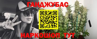 гидропоника Камышлов