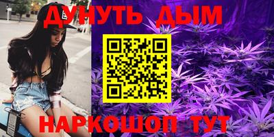 гидропоника Камышлов