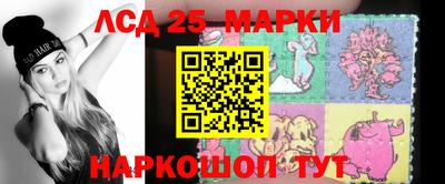 гидропоника Камышлов
