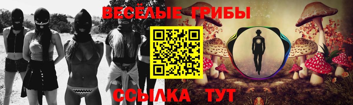 закладки  Вход с VPN  Таганрог  Галлюциногенные грибы прущие грибы 